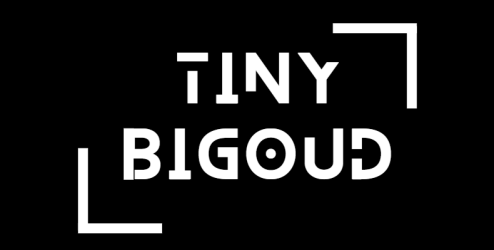 tinybigoud
